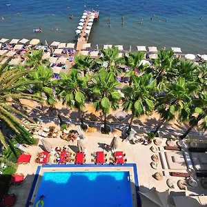 2* Отель Palm